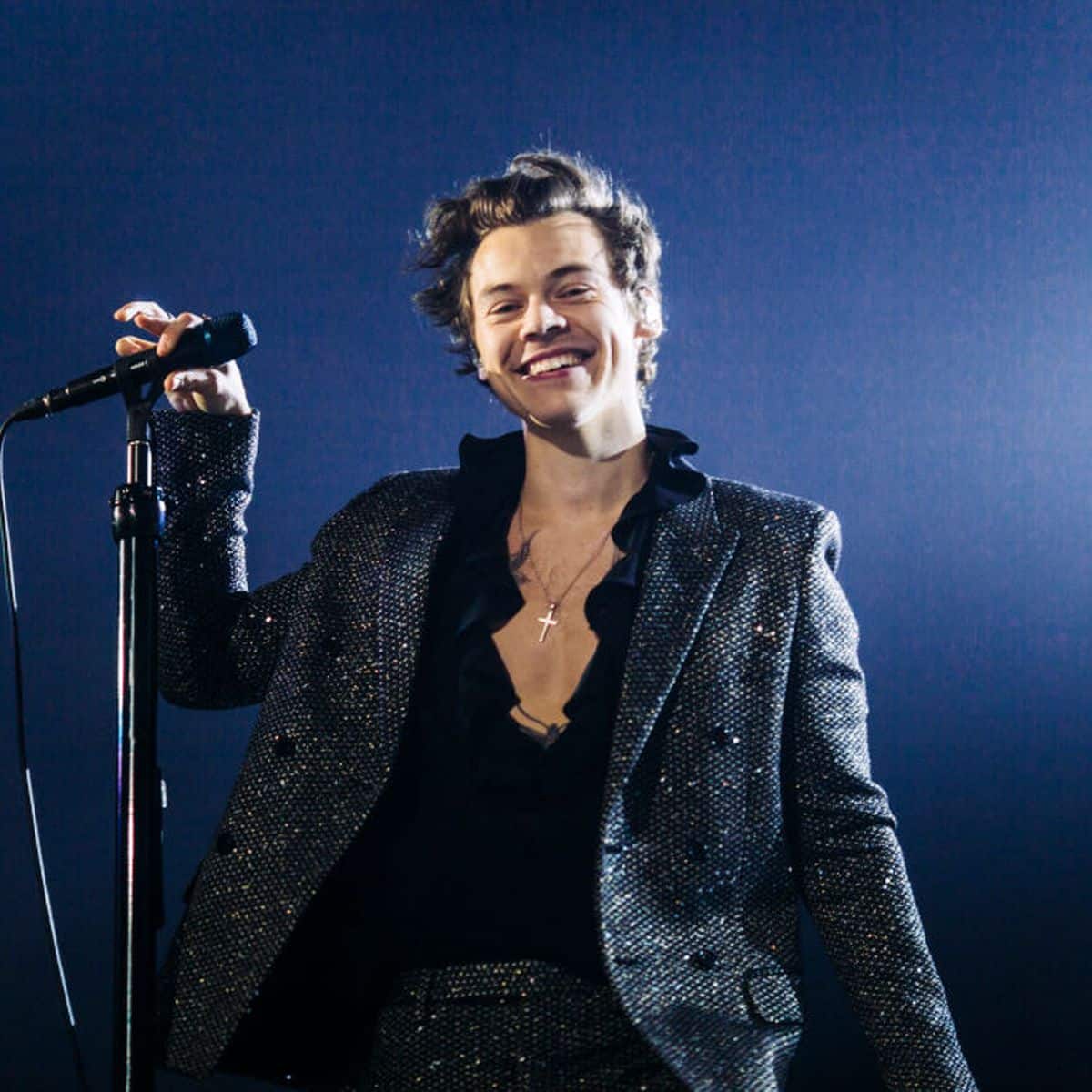 Harry Styles bonus facts